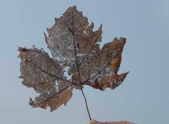 一种脑细胞极度透支,劳心劳肺的结局