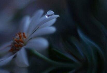 高考，并不能决定你的终身